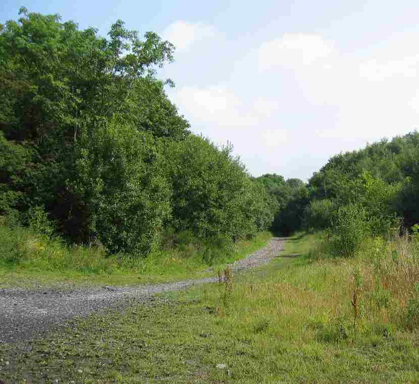 Blaydon Burn - Gateshead Council